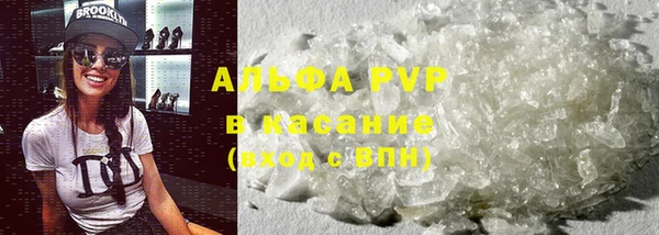 эйфоретик Осинники